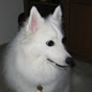 Meet your Posher, Tracie